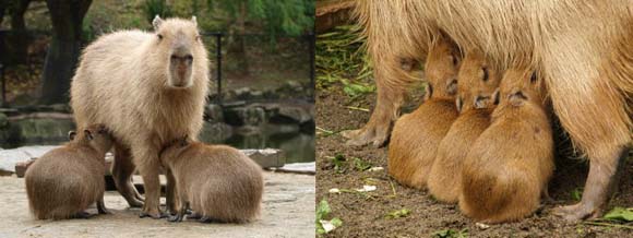 �J�s�o��������