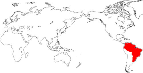 �J�s�o���̐�����